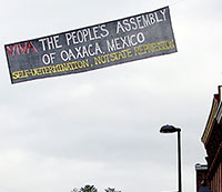 viva-appo.jpg