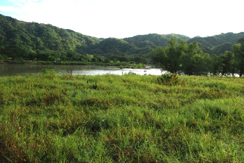 Rio Verde near the community of Paso de la Reina