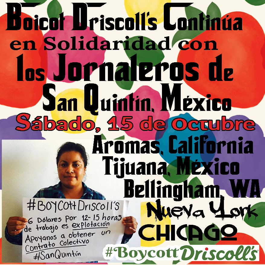 Boicot Driscoll's 15 de octubre 2016