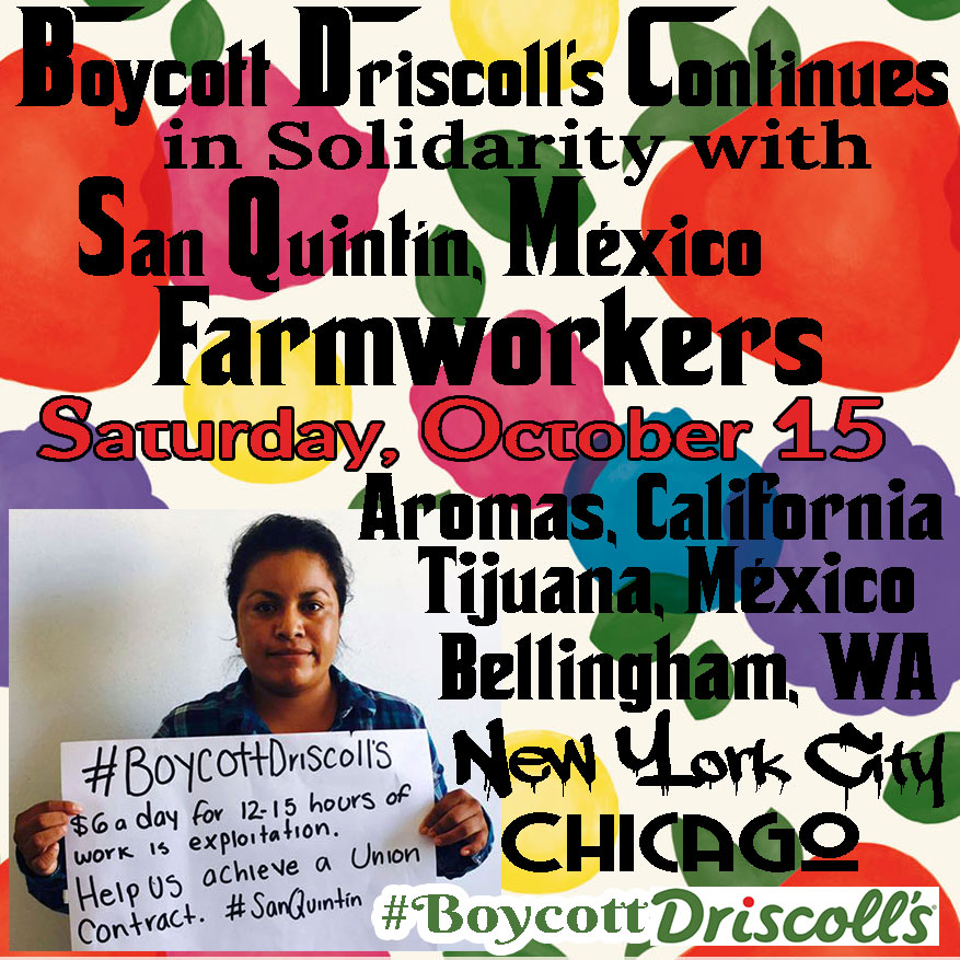 Boycott Driscoll's October 15, 2016